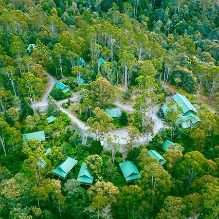 Hotel Lemonthyme Wilderness Retreat Moina Exterior foto